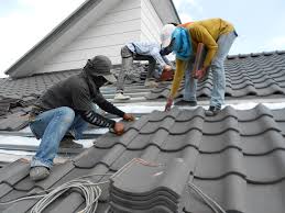 Roof Moss and Algae Removal in Vineyard, UT